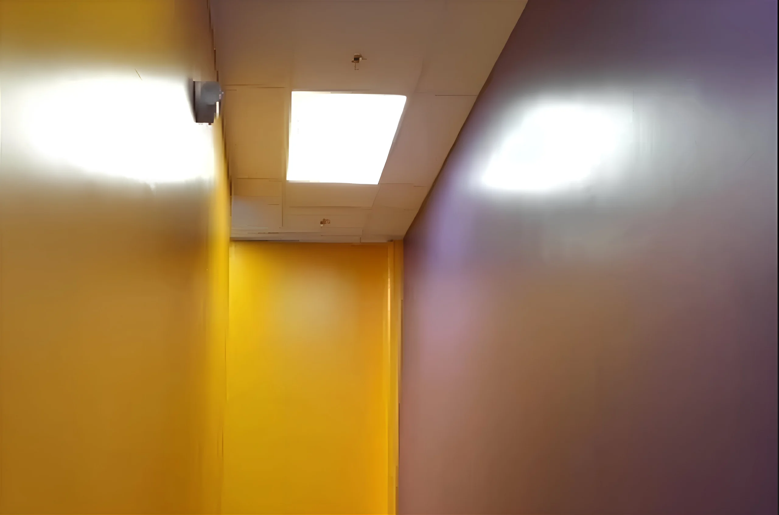 Electrical Trim and Paint